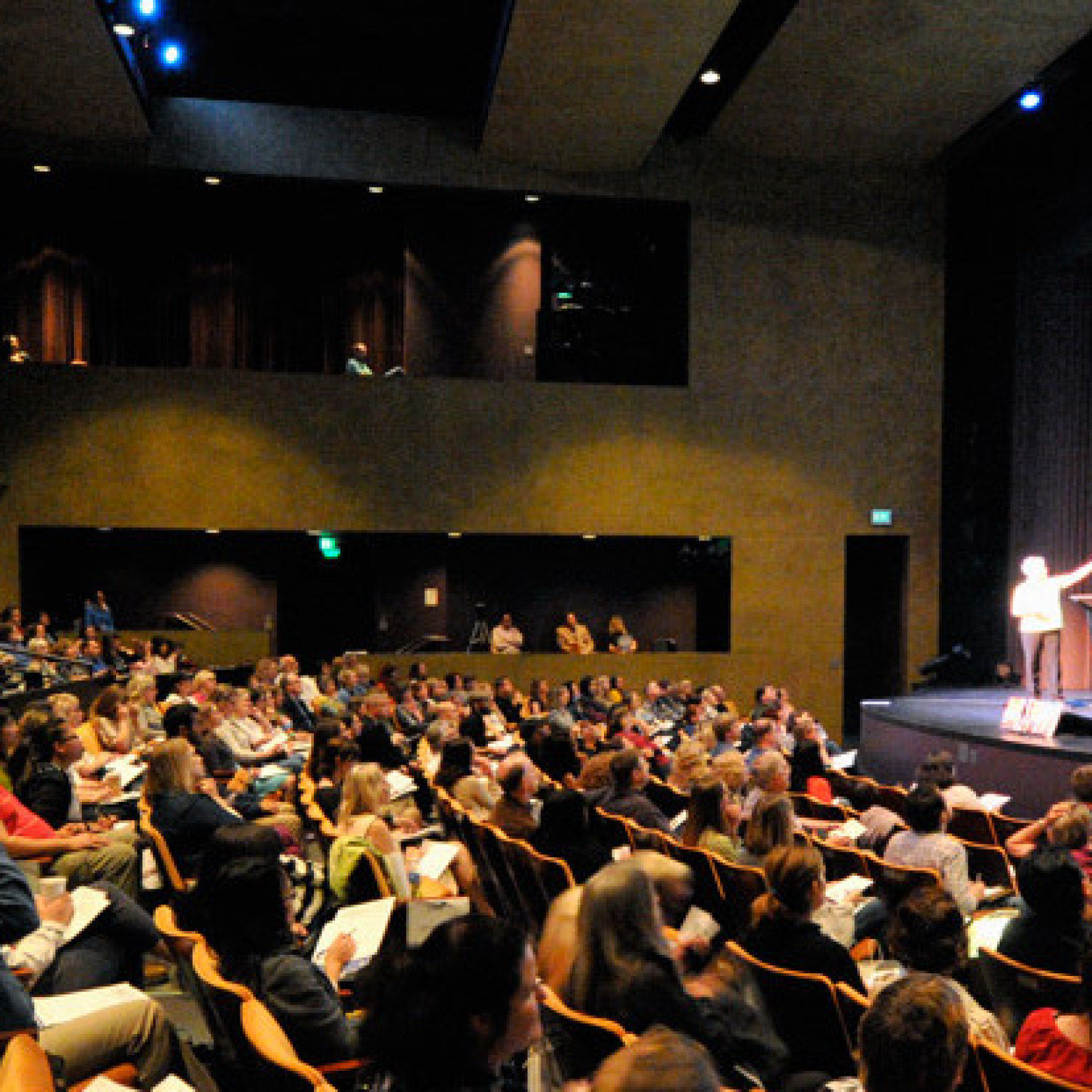 <?php echo pulse_output(); ?>